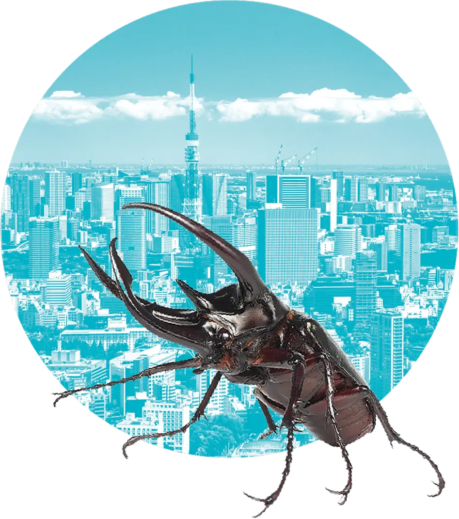 巨大昆虫襲来イメージ