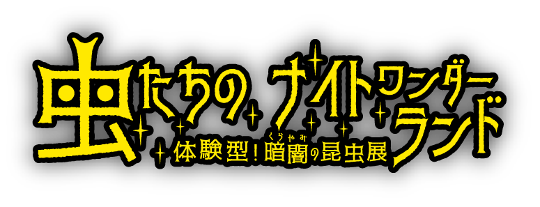虫たちのナイトワンダーランド　体験型！暗闇の昆虫展